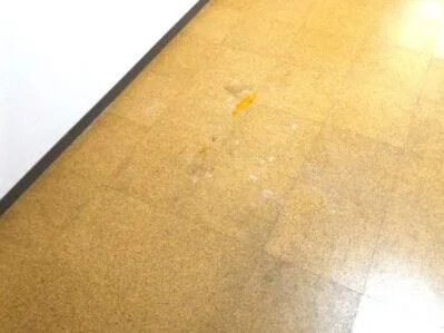 八幡市京都府S様様の不用品回収後のお部屋の画像
